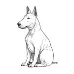 imagen de perro bull terrier para colorear