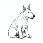 descargar dibujos de perros bull terrier para colorear