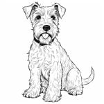 airedale terrier en blanco y negro