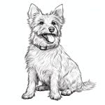 imagen para imprimir de perro terrier australiano