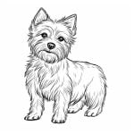 dibujo gratis para colorear australian terrier