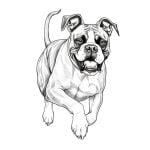 dibujo de perro boxer para colorear